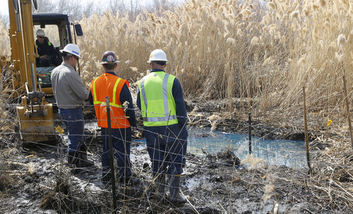Al Hartmann  |  The Salt Lake Tribune
Workers look at an impacted area from a leak from a Chevron pipeline between Willard Bay North Marina and I-15 Tuesday March 19. The leak was detected Monday. Authorities said the leak was contained in retaining ponds and none went into Willard Bay.