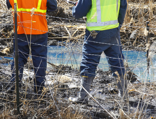 Al Hartmann  |  The Salt Lake Tribune
Workers look at an impacted area from a leak from a Chevron pipeline between Willard Bay North Marina and I-15 Tuesday March 19. The leak was detected Monday. Authorities said the leak was contained in retaining ponds and none went into Willard Bay.