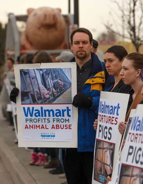 Trent Nelson  |  The Salt Lake Tribune
Jordan Fauver holds a sign as Members of Mercy For Animals protest against Wal-Mart and the practices of their pork suppliers, Tuesday March 26, 2013 in Salt Lake City.