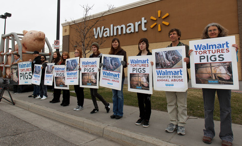 Trent Nelson  |  The Salt Lake Tribune
Members of Mercy For Animals protest against Wal-Mart and the practices of their pork suppliers, Tuesday March 26, 2013 in Salt Lake City.