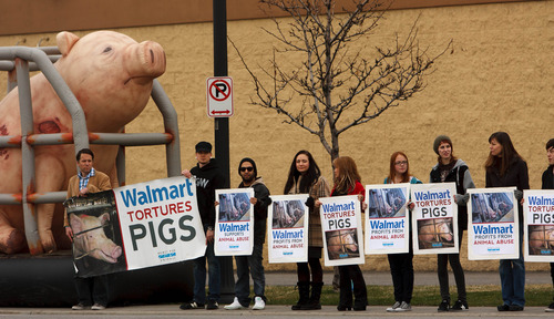 Trent Nelson  |  The Salt Lake Tribune
Members of Mercy For Animals protest against Wal-Mart and the practices of their pork suppliers, Tuesday March 26, 2013 in Salt Lake City.
