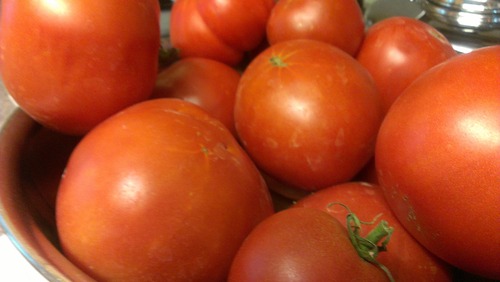 Kathy Stephenson | The Salt Lake Tribune
There may be snow outside, but Utahns will still be able to get greenhouse tomatoes and other fresh produce at two winter markets taking place on Saturday, Nov. 17.