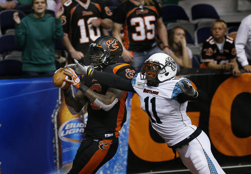 Scott Sommerdorf   |  The Salt Lake Tribune
Blaze WR Mario Urrutia catches a first half TD against Arizona. The Blaze were down 33-28 at the half in their Arena League home opener against the Arizona Rattlers, Friday, March 29, 2013.