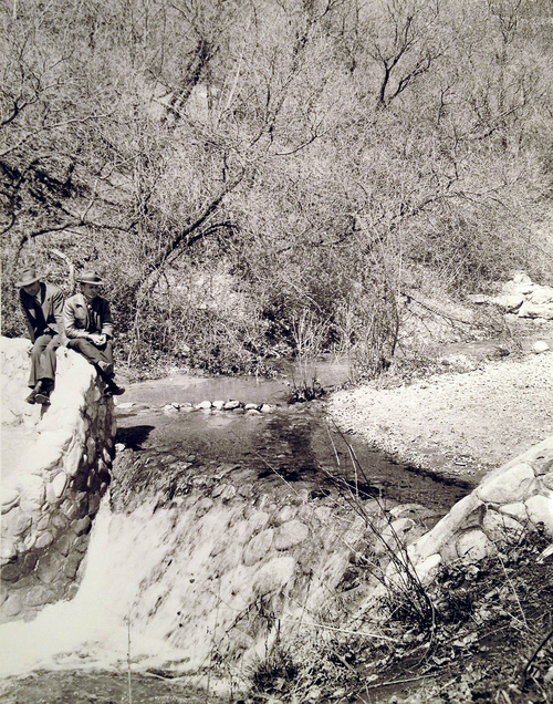 (Salt Lake Tribune Archives)

City Creek Canyon