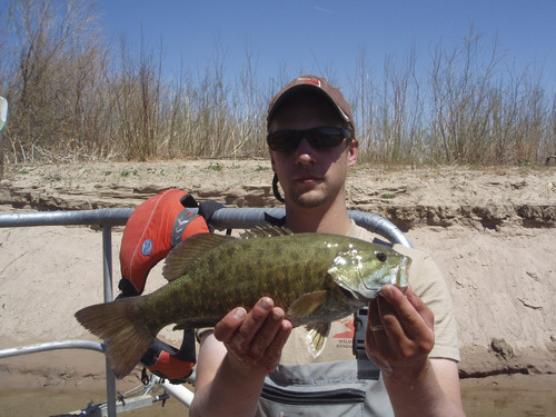 Courtesy photo
Joe Skorupski holding a smallmouth bass caught during nonnative fish removal.