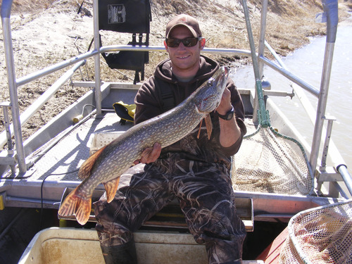 Ben Kiefer holding a northern pike caught during nonnative fish removal.
Courtesy photo