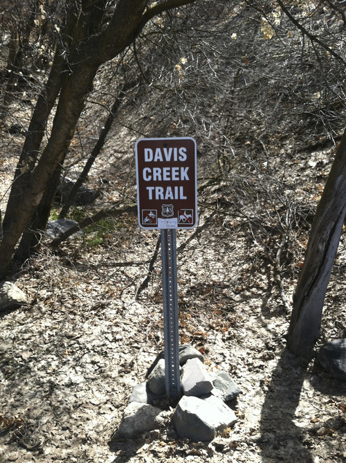 Lindsay Whitehurst | The Salt Lake Tribune
Davis Creek Hike. Saturday March 30, 2013