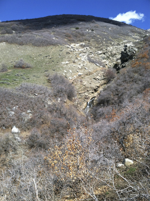 Lindsay Whitehurst | The Salt Lake Tribune
Davis Creek Hike. Saturday March 30, 2013