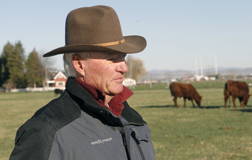 Al Hartmann  |  The Salt Lake Tribune
Fourth-generation rancher Joe Fuhrman stands in the bull pasture on his property south of Logan. The federal government has launched a livestock identification program to help prevent the spread of disease. Some cattlemen including Furnman oppose the measure because the program is mandatory.