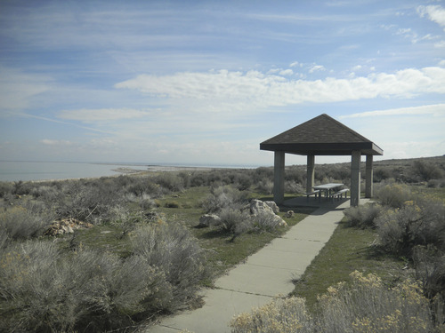 Tom Wharton | The Salt Lake Tribune
A lonely picnic table waits for spring visitors at Antelope Island.