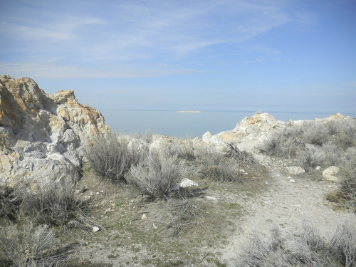 Tom Wharton | The Salt Lake Tribune
Bird Island, visible from Antelope Island, is home to hundreds of nesting California gulls.