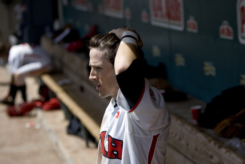 Kim Raff  |  The Salt Lake Tribune
University of Utah second baseman Kody Davis watches from the dugout during a game against USC at Spring Mobile Ballpark in Salt Lake City on April 21, 2013. Davis is a former standout at Juan Diego and has come off a season-ending injury to be a key player for the Utah Utes baseball team.