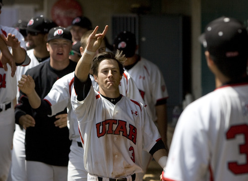 Kim Raff  |  The Salt Lake Tribune
University of Utah second baseman Kody Davis celebrates a run being scored by his teammates during a game against USC at Spring Mobile Ballpark in Salt Lake City on April 21, 2013. Davis is a former standout at Juan Diego and has come off a season-ending injury to be a key player for the Utah Utes baseball team.
