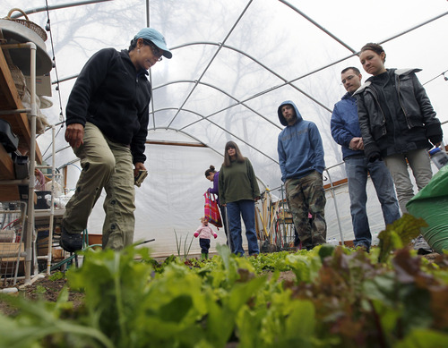 Al Hartmann  |  The Salt Lake Tribune
Gardening assistant Xiomara Bella, left, shows a new group of gardeners with Live and Thrive the mixed greens growing in the groups greenhouse in Holladay.   Live and Thrive is unique.  Member-volunteers pay $100 tolearn and work on farms around the valley and share in the bounty.