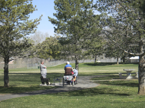Tom Wharton  |  The Salt Lake Tribune
Regulars at the Cottonwood Park off-leash area enjoy socializing almost as much as their dogs.