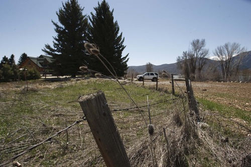 Leah Hogsten  |  The Salt Lake Tribune
The land to the right of the barbed-wire fence pictured April 12, 2013 is U.S. Forest Service Land, although the Summit Group renters tore down the fence to gain access to the land for a parking area. Some neighbors believe the large log home on Stringtown Road in Eden, rented by The Summit Group, is operating as a business, and it is locally referred to as "the party house."  Eden residents say daily auto traffic has increased more than three times what it was previously, making the country road an unsafe place for the Valley Elementary school children who walk the road and the others who live on the road and ride their bikes after school. The Summit Group, led by four 20-something entrepreneurs, purchased Powder Mountain ski resort for $40 million with plans to develop 500 homes around a village on the resort's east side.