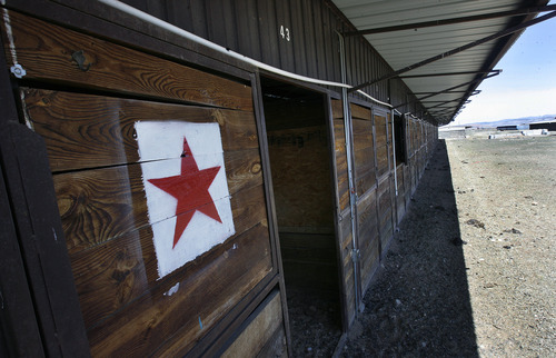 Scott Sommerdorf   |  The Salt Lake Tribune
Stall 43 at the empty horse barns at Wyoming Downs, Thursday, April 25, 2013. Paul Nelson is working as a contractor on the re-opening of Wyoming Downs race track, owned by his brother Eric Nelson. The track has been dormant for 4-5 years and the Nelson brothers are working to bring it back to life.