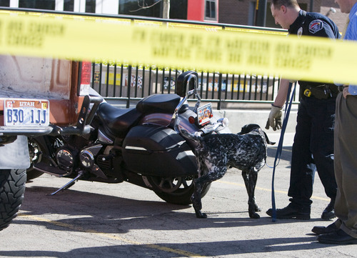 Kim Raff  |  The Salt Lake Tribune
West Valley City Police use a dog to investigate a motorcycle driven by  James Ramsey Kammeyer a shooting suspect after an incident in and around the West Valley City Police Department in West Valley City on April 29, 2013. No police were injured and Kammeyer was taken into custody.