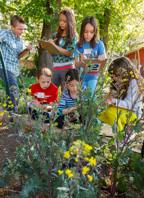 Trent Nelson  |  The Salt Lake Tribune
Third-graders from McGillis Elementary School search for clues during a field trip to Wasatch Community Gardens to Tuesday May 7, 2013 in Salt Lake City. The nonprofit organization is gearing up for its annual plant sale, in which more than 30,000 plants are offered, including Heirloom tomatoes, vegetable starts, herbs, flowers, grasses, water-wise plants, Utah natives, edible perennials. Money from the sale will be used for its many programs, including teaching kids where their food comes from, and how to grow it.