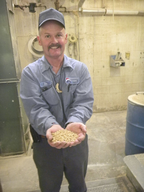 Tom Wharton | The Salt Lake Tribune
IFA feed manager Jim Brown shows off freshly made animal feed at the Draper mill.