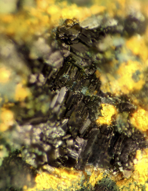 Photo courtesy of Joe Marty 
This extreme closeup color photograph of nashite crystals barely hints at their bluish-green color. The yellow material around the nashite is another mineral, iasalite. Joe Marty, a Salt Lake City mineral collector, discovered the new mineral in old uranium mines in Colorado and Utah and named it in honor of University of Utah geology and geophysics Professor Barbara Nash, who has studied several related vanadium minerals, called cavanadates.