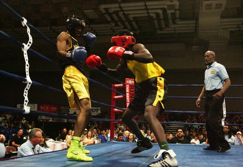Kim Raff  |  The Salt Lake Tribune
(left) Ardreal Holmes Jr., of Michigan, is punched on the ropes by (right) Erickson Lubin, of Florida, during the championship 152 lb. weight class match at Golden Gloves National Championship at the Salt Palace Convention Center in Salt Lake City on May 18, 2013. Lubin went on to win the championship.