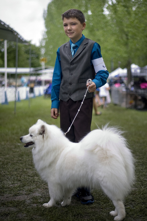 Kim Raff  |  The Salt Lake Tribune
11-year-old Coby Kearl poses with Pritzy, an American Eskimo dogs, before competing in the Mount Ogden Kennel Club's AKC All Breed Dog Show at the Cache County Fairgrounds in Logan on May 19, 2013.