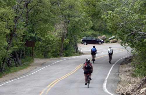 Steve Griffin  |  The Salt Lake Tribune
Bicyclists make their way down Mill Creek Canyon in Salt Lake City Thursday, May 16, 2013. A consultant's report has recommended introducing features in the popular canyon that are bicycle and pedestrian friendly.
