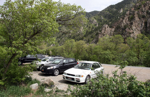 Steve Griffin  |  The Salt Lake Tribune
Cars in the Pipeline trailhead parking area of Mill Creek Canyon. A consultant's report has recommended changing the way parking in the popular canyon is managed, such as providing visitors with real-time updates of parking conditions.