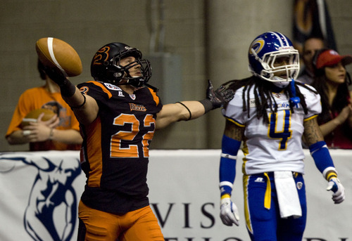 Kim Raff  |  The Salt Lake Tribune
Blaze player Aaron Lesue celebrates scoring a touchdown against the Storm last month during the first quarter of a game at EnergySolutions Arena in Salt Lake City.