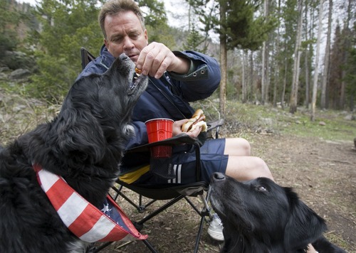 Camper Bryan Gwynn of West Valley City feeds his dogs Nikki, left, and Scout in their camp on a mild Sunday afternoon in the Wasatch National Forest in the Uinta mountains Sunday May 25, 2008. The trio were part of a larger group camping near the entrance of the Soapstone campground on the Mirror Lake Byway. Cooler than usual temperatures were present for the Memorial Day weekend and the snow persisted in the higher elevations closing roads and campgrounds. 05/25/2008 Jim Urquhart/The Salt Lake Tribune
