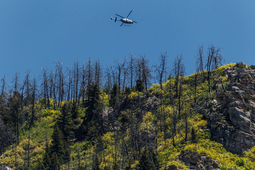 Trent Nelson  |  The Salt Lake Tribune
A helicopter circles above the Y Mountain trailhead, where the search for a missing hiker continued Tuesday June 4, 2013 in Provo.