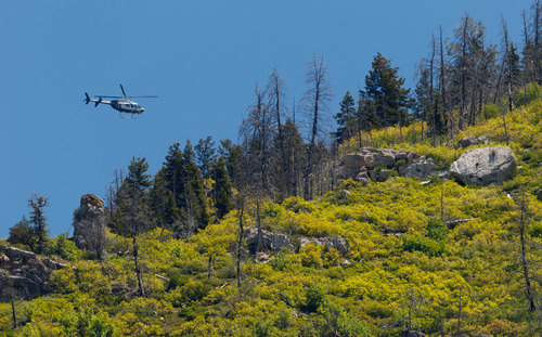 Trent Nelson  |  The Salt Lake Tribune
A helicopter circles above the Y Mountain trailhead, where the search for a missing hiker continued Tuesday June 4, 2013 in Provo.