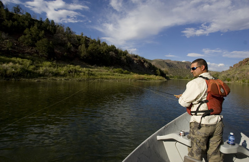 | Tribune file photo

J.C. Wicks of Layton fly-fishes the Green River outside of Dutch John in June 2008. Utah's annual Free Fishing Day is scheduled this year for June 8.
