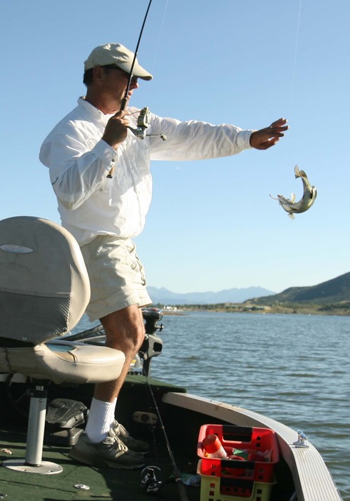 Leah Hogsten  |  Tribune file photo
Mike Ptaschinski of Holladay fishes for small mouth bass and perch in Jordanelle Reservoir in August 2011. Utah's annual Free Fishing Day this year is June 8.