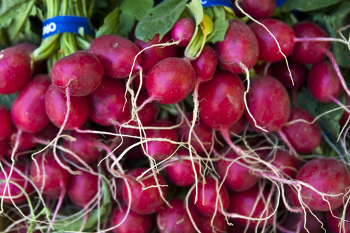 Chris Detrick  |  The Salt Lake Tribune
Organic radishes from Wilkerson Farm for sale at the Downtown Salt Lake City Farmers Market in Pioneer Park Saturday June 8, 2013.