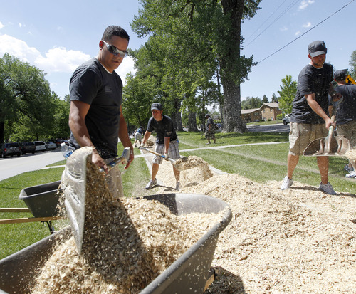 Al Hartmann  |  The Salt Lake Tribune
Fifty CHG Healthcare Services employees volunteer at Liberty Park Thursday June 13 to fill the west side walking and jogging path with new wood chips. It's part of Salt Lake City's "Service in the City" program.