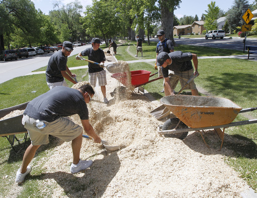Al Hartmann  |  The Salt Lake Tribune
Fifty CHG Healthcare Services employees volunteer at Liberty Park Thursday June 13 to fill the west side walking and jogging path with new wood chips. It's part of Salt Lake City's "Service in the City" program.