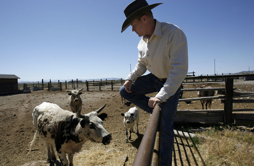 Francisco Kjolseth  |  The Salt Lake Tribune
Bull rider Shawn Proctor, 27, of Rush Valley has been riding big bull since he was 13 and was 7th in the National Finals Rodeo in 2008 which allowed him to buy his small ranch where he raises bucking bulls.
