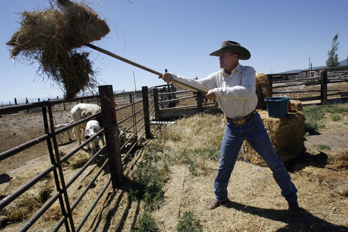 Francisco Kjolseth  |  The Salt Lake Tribune
Bull rider Shawn Proctor, 27, of Rush Valley has been riding big bull since he was 13 and was 7th in the National Finals Rodeo in 2008 which allowed him to buy his small ranch where he raises bucking bulls.