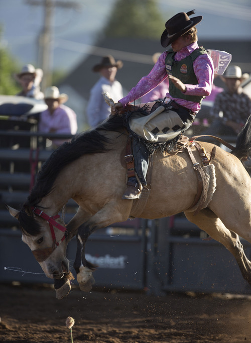 Lennie Mahler  |  The Salt Lake Tribune
Alex Wright of Sanpete competes in saddle bronc riding in the Utah High School Rodeo Championships in Heber City, Utah, Friday, June 14, 2013.