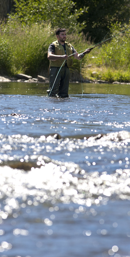 Steve Griffin | The Salt Lake Tribune
Steven Walters of Salt Lake City beats the heat by fly fishing on the Provo River near Heber on Thursday June 27, 2013.