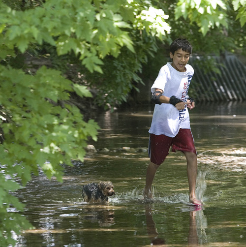Paul Fraughton  |  The Salt Lake Tribune
Felipe Diaz and his dog, Bonsai, run through the stream at Sugar House Park.
