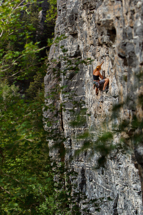 Trent Nelson  |  The Salt Lake Tribune
Mindy Shulak climbs the Division Wall, Wednesday June 19, 2013 in American Fork Canyon.