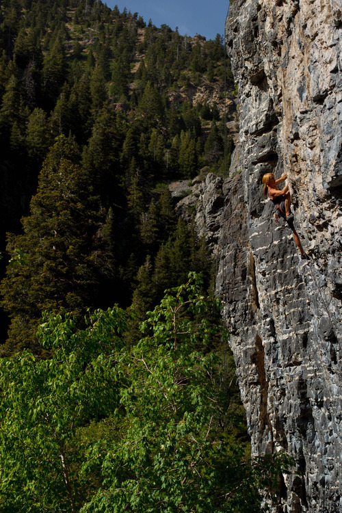Trent Nelson  |  The Salt Lake Tribune
Mindy Shulak climbs the Division Wall in American Fork Canyon.
