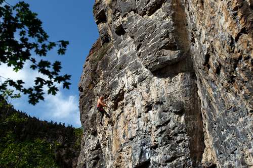 Trent Nelson  |  The Salt Lake Tribune
Gordon Douglass climbs the Division Wall, Wednesday June 19, 2013 in American Fork Canyon.