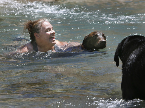 Scott Sommerdorf   |  The Salt Lake Tribune
Cathy Brinton of Midvale swims with her dogs Hershey and Licorice, cool off in the pool that "the tube" empties into in Tanner Park, Sunday, June 30, 2013.