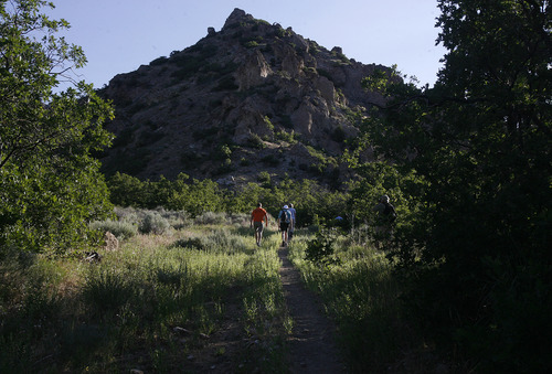 Scott Sommerdorf  |  The Salt Lake Tribune
Secretary of Interior Sally Jewell hikes to Barney's Peak in the Oquirrhs with BLM employees, Saturday, June 29, 2013.