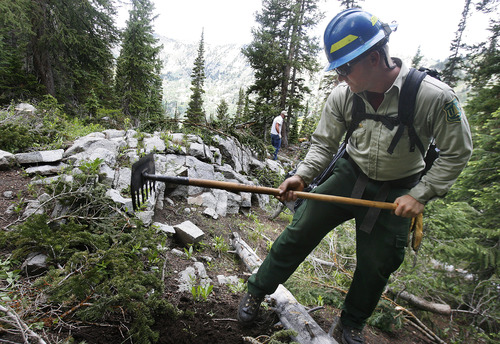 Scott Sommerdorf   |  The Salt Lake Tribune
Forest Service employee Brett Jeppesen works with a crew of volunteers to help restore an area near Alta Ski Resort, Saturday, July 13, 2013.