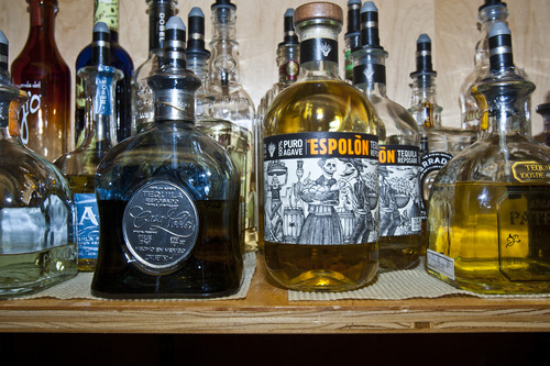 Chris Detrick  |  The Salt Lake Tribune
One-hundred percent agave premium tequilas for sale at Taqueria 27 in Salt Lake City Tuesday July 16, 2013.